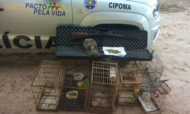 Agricultor é detido com aves silvestres e riffle em Garanhuns - NE10