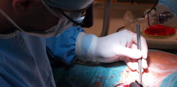 Insuficiência renal pode exigir um transplante como alternativa terapêutica (Foto: Free Images)