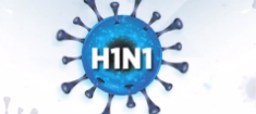 H1N1-DESTAQUE