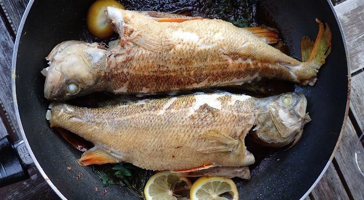 Além de muito saborosos, os peixes têm alto teor nutritivo (Foto: Pixabay)
