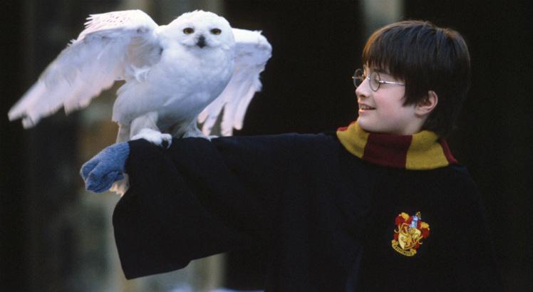 Nesta segunda (26), "Harry Potter e a Pedra Filosofal" completa 20 anos de publicação. Foto: Reprodução