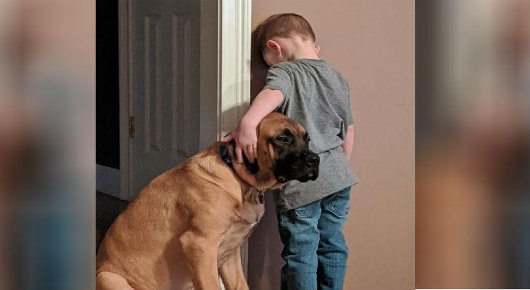 Cachorro apoia criança de três anos enquanto ela fica de castigo contra a parede