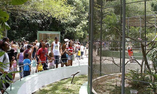 MPPE aponta falhas na segurança de visitantes e no acolhimento dos animais do Parque Dois Irmãos / Foto: divulgação