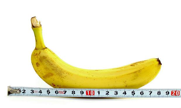 Segundo a pesquisa, o comprimento de um pênis flácido é de 9,16 centímetros, e o de um pênis ereto é de 13,12 cms / Foto: reprodução