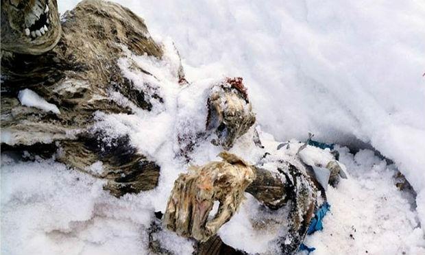 A primeira hipótese é que os corpos sejam de alpinistas que morreram há mais de 50 anos  / Foto: Hilario Aguilar Aguilar/EFE