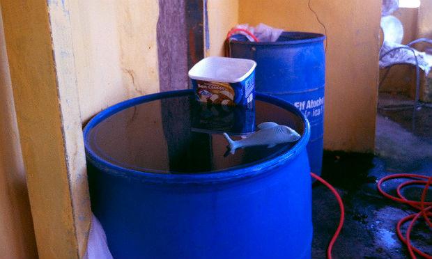 Armazenamento inadequado de água é um dos vilões do combate à dengue / Foto: Marília Banholzer/NE10