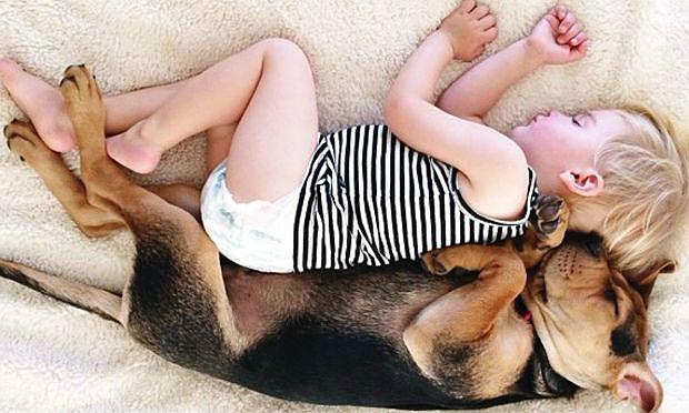 Todos os dias, a blogueira americana Jessica Shyba fotografa seu filho cochilando com o cãozinho da família / Foto: Reprodução /Momma?s Gone City