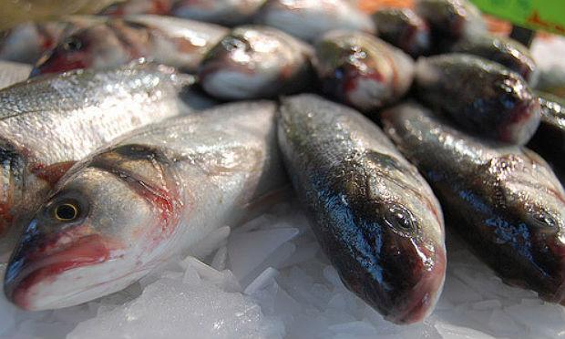 Venda de peixes para a Semana Santa será fiscalizada no Mercado de São José / Foto: Reprodução/Internet