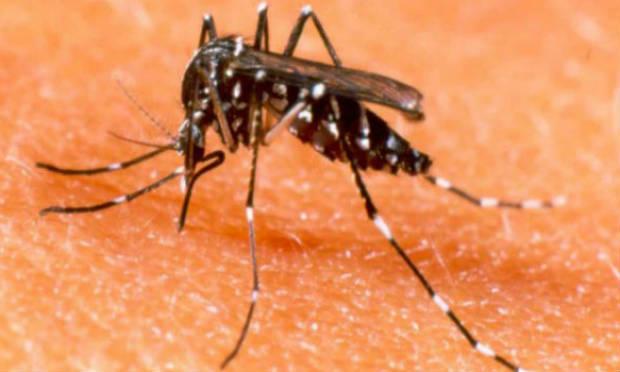 O resultado do teste para  saber se o paciente tem o vírus da dengue demora, em média, cinco dias. / Foto: AFP