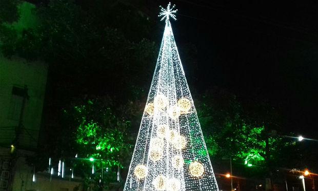 Árvore de 14 metros foi instalada no início da Avenida Rio Branco / Foto: Rafael Paranhos/NE10