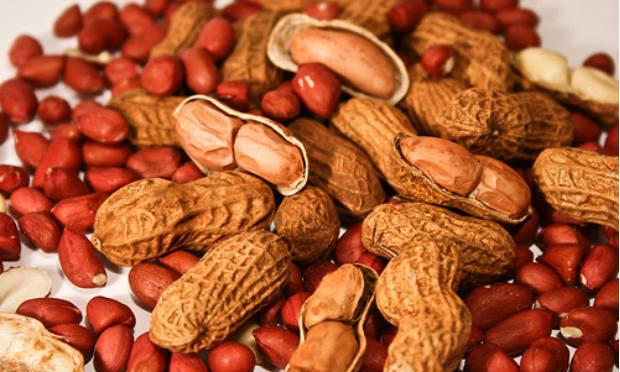 Constatou-se que os bebês de alto risco que comiam amendoim tinham taxas mais baixas de alergia / Foto: Reprodução