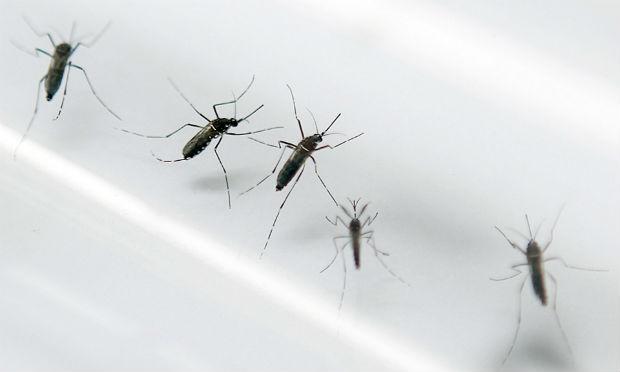 Militares norte-americanos foram diagnosticados com o vírus da zika / Foto: AFP