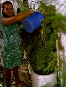 Márcia Muniz usa a água nas plantas e para lavar a casa
